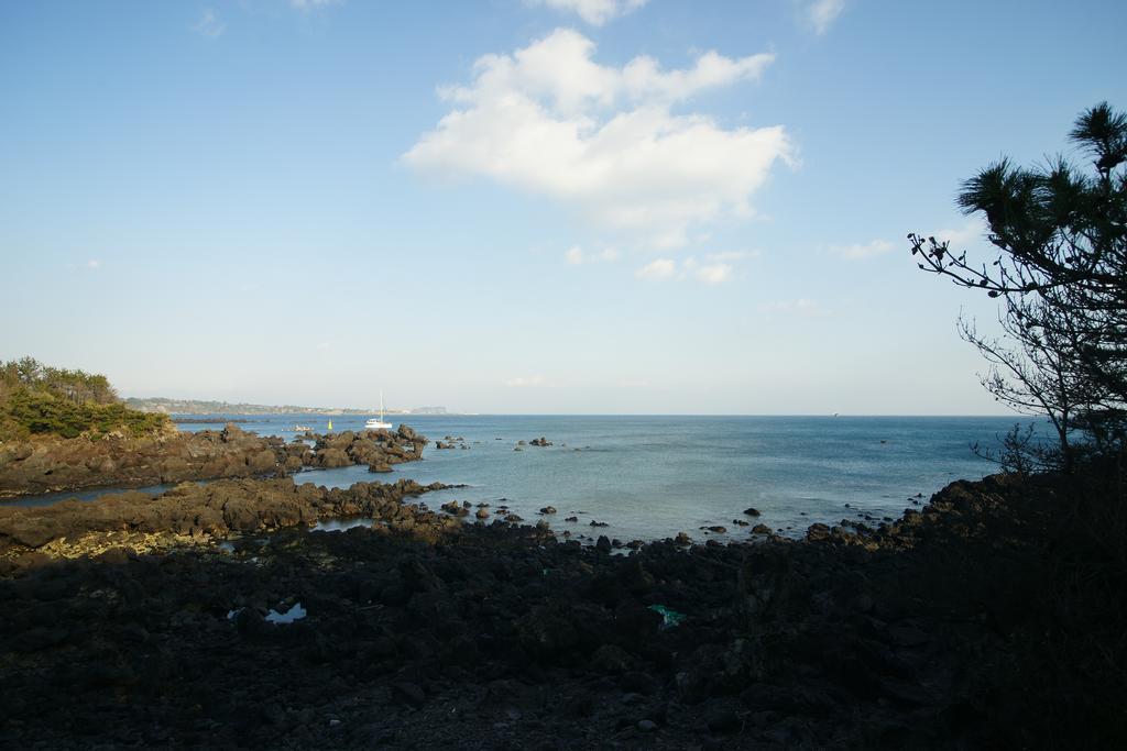 Villa Sunny Day Jeju Seogwipo Esterno foto