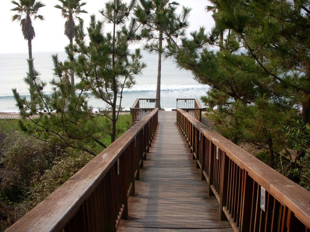 Villa Sunny Day Jeju Seogwipo Esterno foto