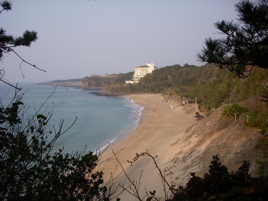 Villa Sunny Day Jeju Seogwipo Esterno foto