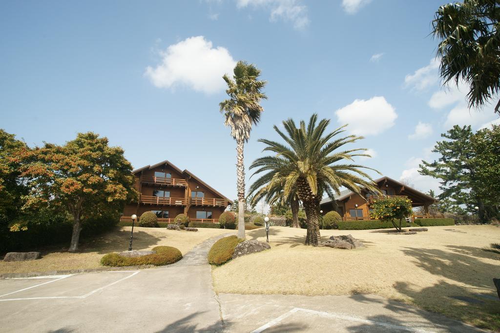 Villa Sunny Day Jeju Seogwipo Esterno foto