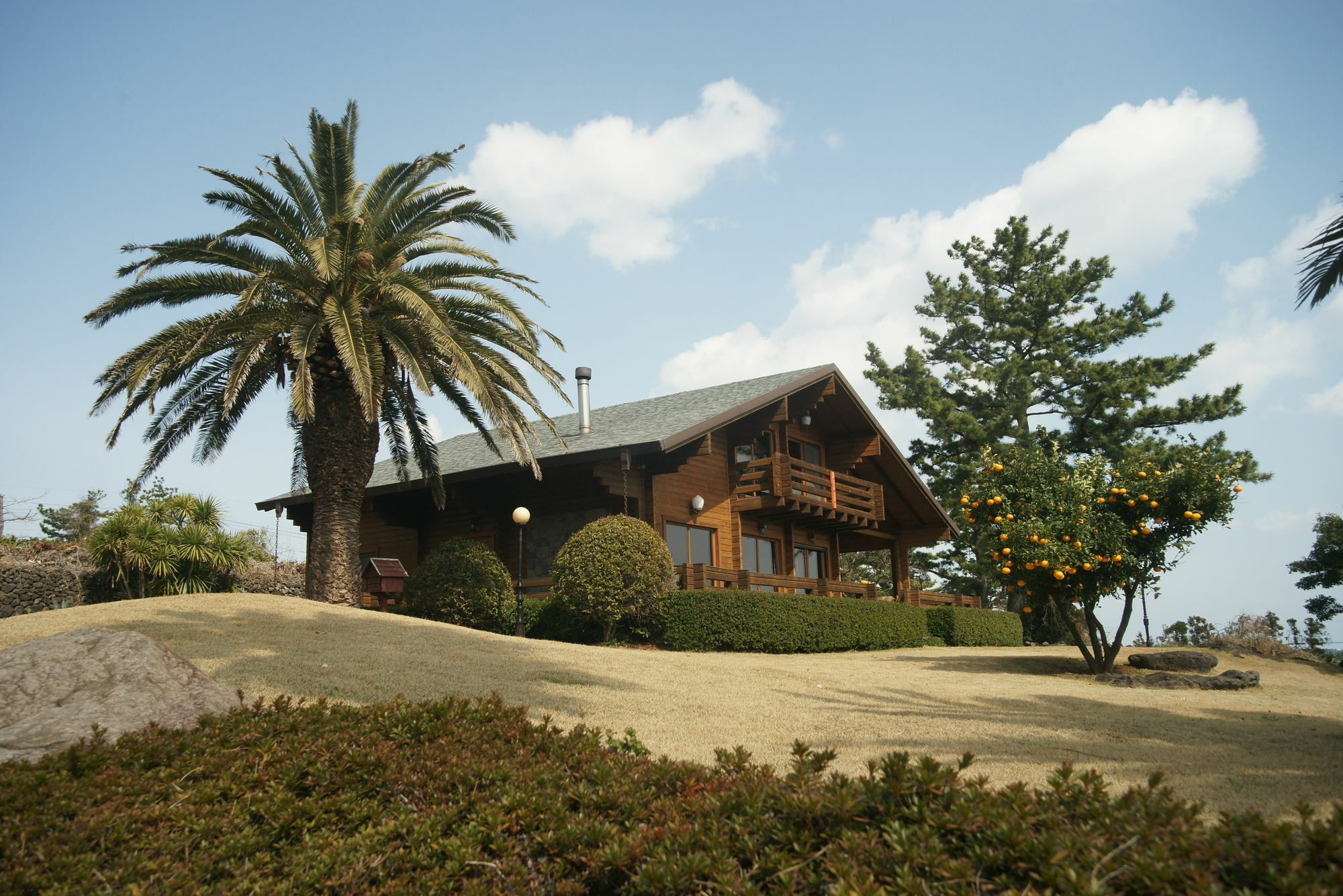 Villa Sunny Day Jeju Seogwipo Esterno foto