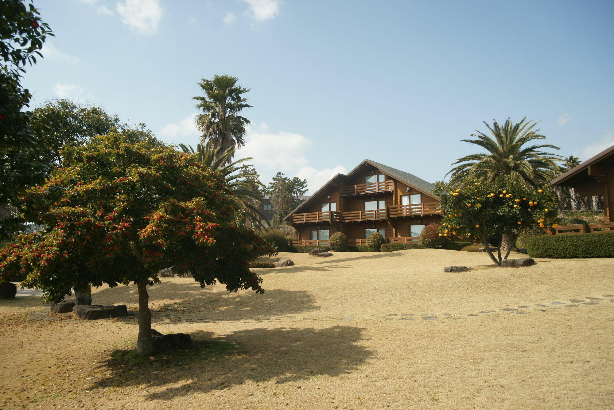 Villa Sunny Day Jeju Seogwipo Esterno foto