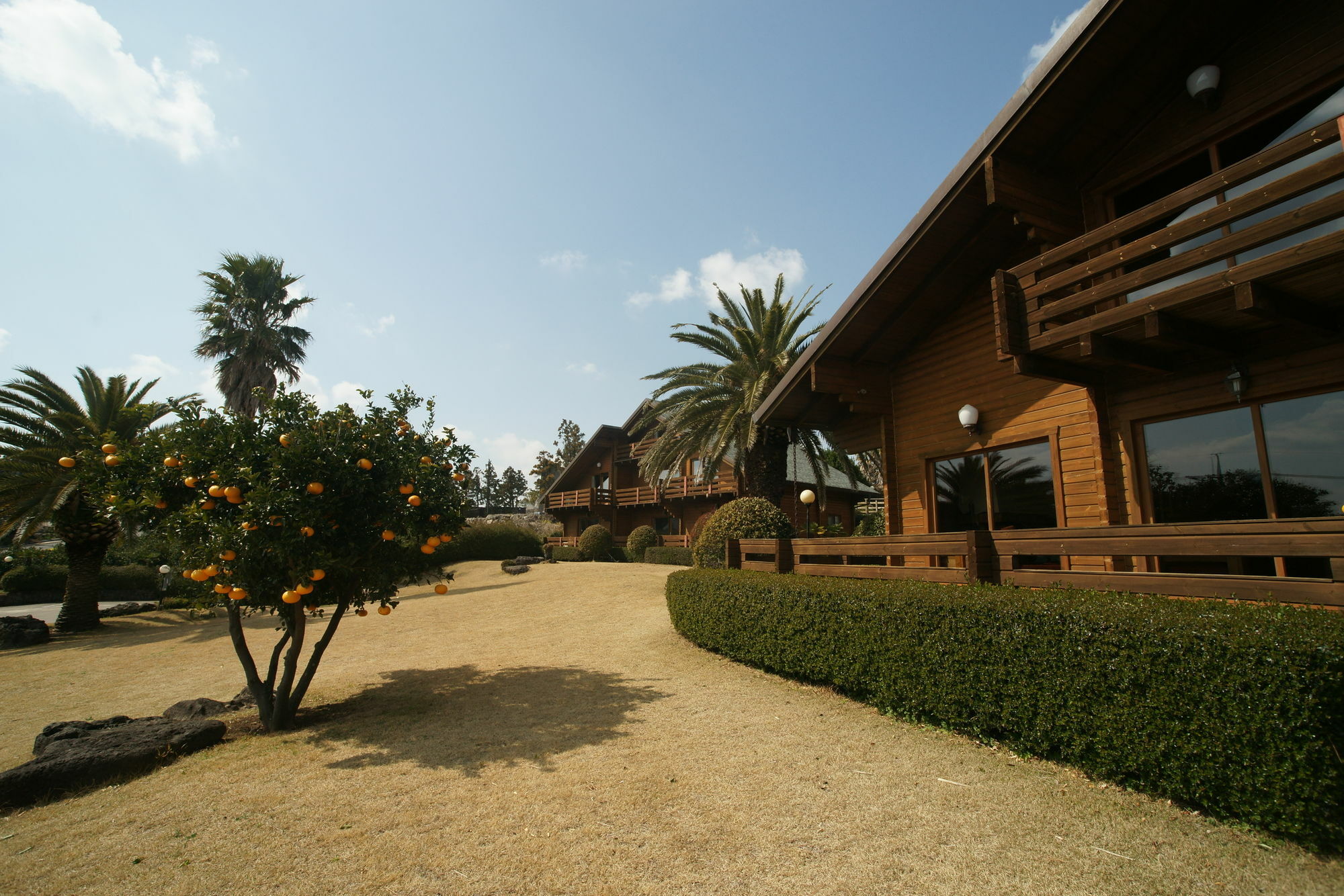 Villa Sunny Day Jeju Seogwipo Esterno foto