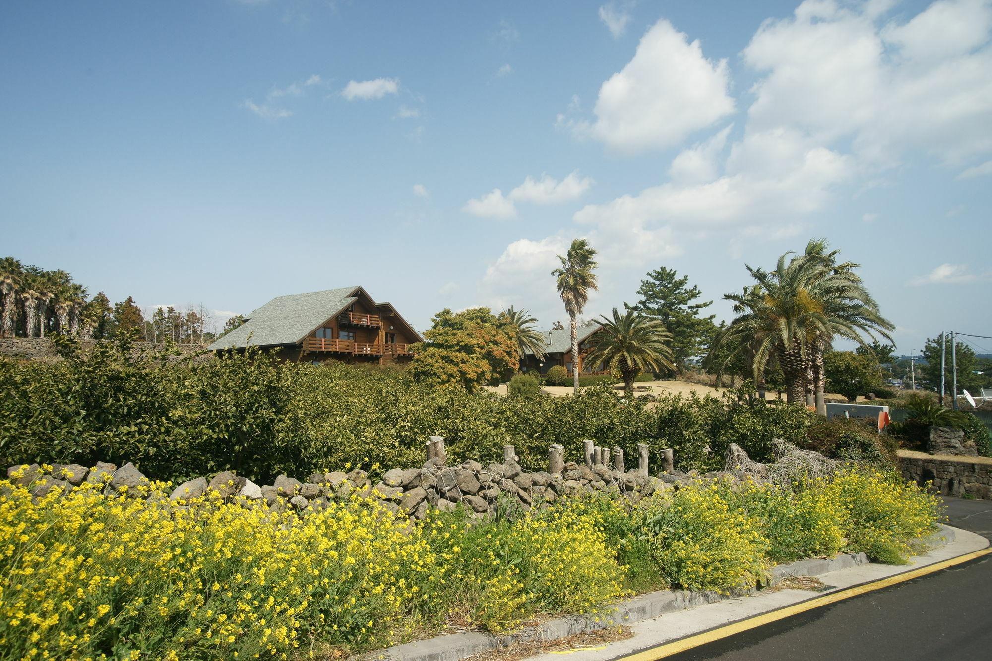 Villa Sunny Day Jeju Seogwipo Esterno foto