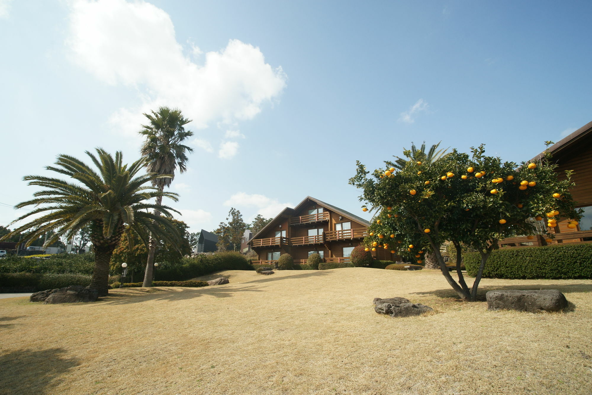 Villa Sunny Day Jeju Seogwipo Esterno foto